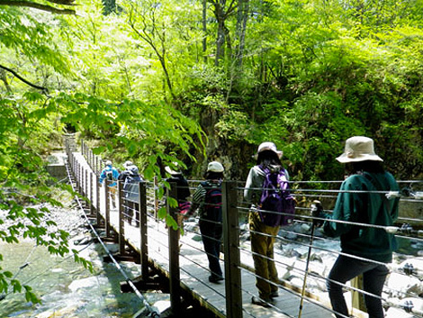 Promenade trekking